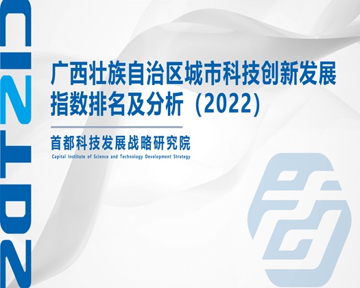 肥胖美女內射黄片【成果发布】广西壮族自治区城市科技创新发展指数排名及分析（2022）